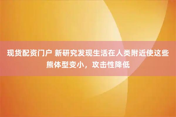 现货配资门户 新研究发现生活在人类附近使这些熊体型变小，攻击性降低