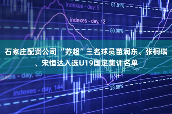 石家庄配资公司 “苏超”三名球员苗润东、张桐瑞、宋恒达入选U19国足集训名单